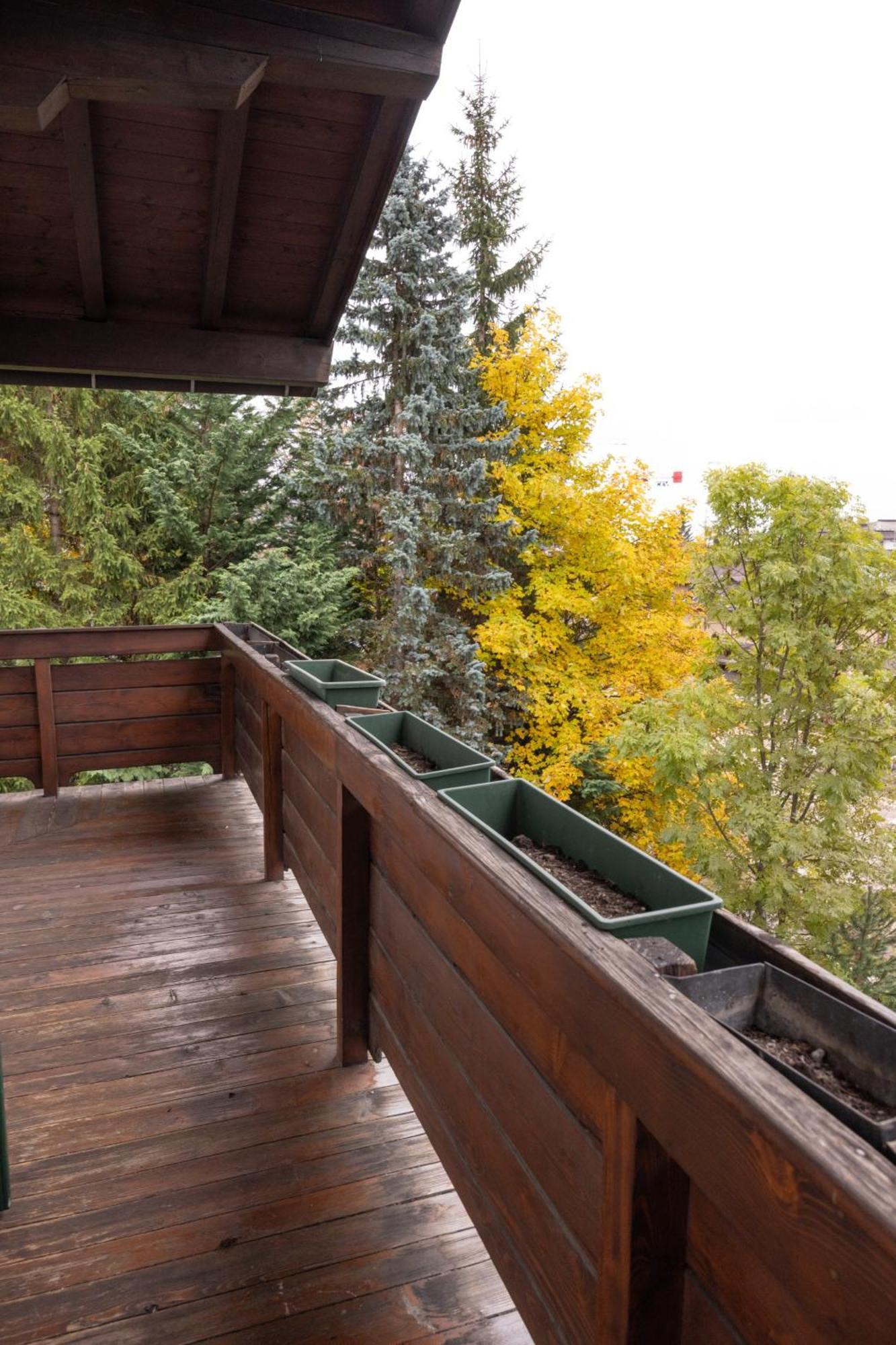 شقة Casa Ca Dei Fiori A Due Passi Dal Centro Di Cortina كورتينا دامبيتزو المظهر الخارجي الصورة
